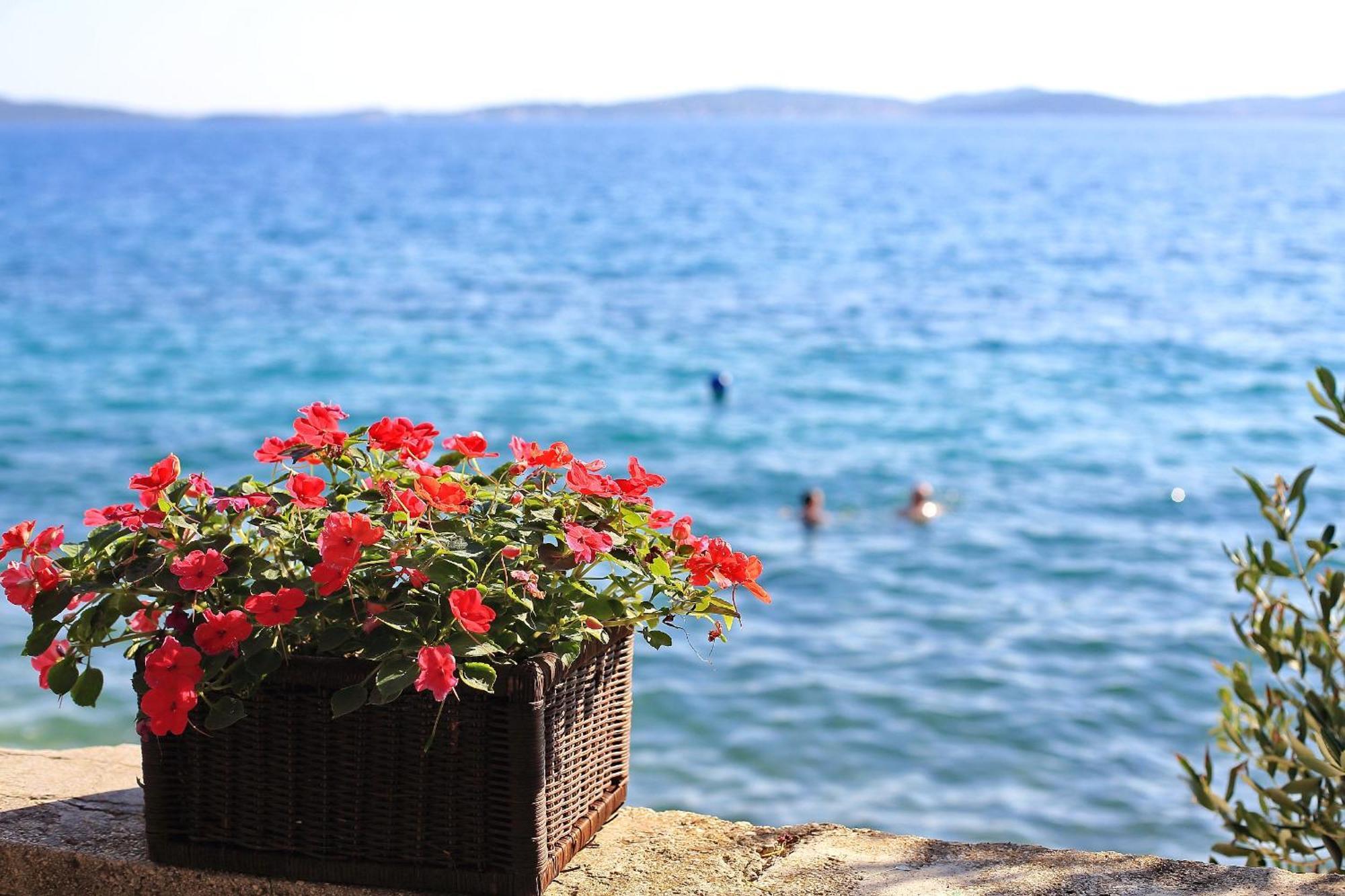 Apartmani Valerija I Joso Bibinje Buitenkant foto